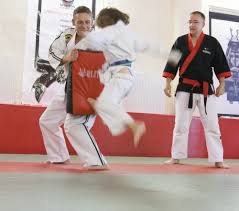 Image result for Masters of Martial Arts