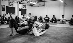 Image result for Basingstoke SMRTJ Jiu Jitsu