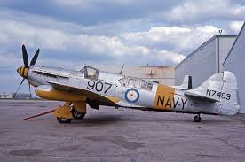 Image result for Fareham Fireflys Yc