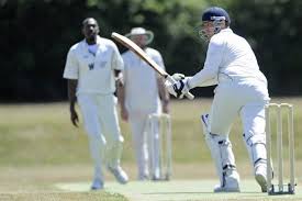 Image result for Portsmouth Community Cricket Club