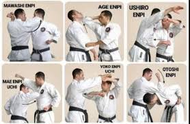 Image result for enpi dojo