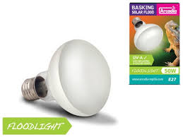 Risultati immagini per arcadia basking solar flood