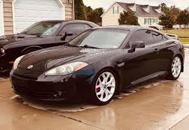 Image result for tuscani tibu...start=0