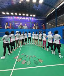 Image result for Feathers (New Milton) Badminton Club