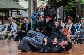 Image result for Budo Warrior Schools