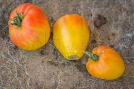 Afbeeldingsresultaat voor belarus orange tomato