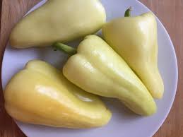 Afbeeldingsresultaat voor hungarian sweet white sweet pepper