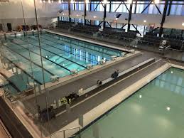Image result for Romford Swimming Club