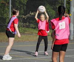 Image result for Blaze Netball Club