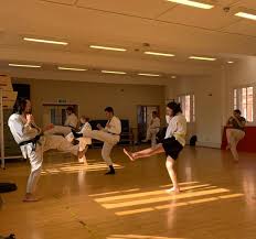 Image result for Imperial College Shorinji Kempo Society