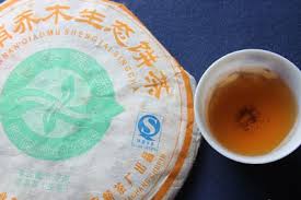 Image result for 2007早春