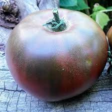 Afbeeldingsresultaat voor 1884 purple tomato
