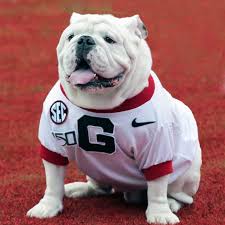 Image result for bulldog bowls club