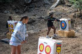 Image result for Lyme Valley Archers