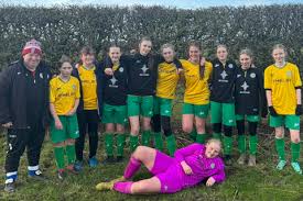 Image result for Bedale Badminton Club