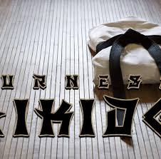 Image result for Aikido - Shobu UK (Newton in furness)