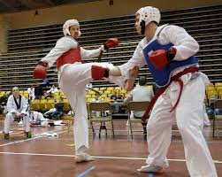 Image result for Ndm Martial Arts