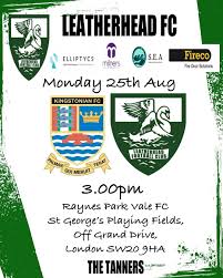 Image result for Leatherhead Football Club