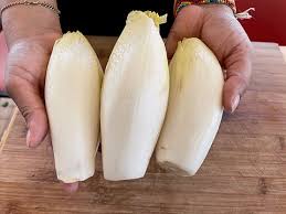 Image result for Endivie
