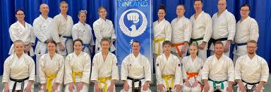 Image result for Independent Wadoryu Karate Federation