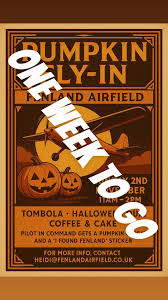 Image result for Fenland Aero Club