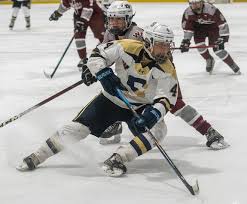 Image result for Shrewsbury Hockey Club