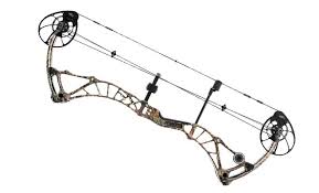 Image result for Atkings Archers