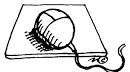 Input Devices