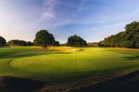 Image result for Woking Athletics Club