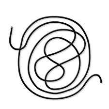 Attēlu rezultāti vaicājumam “Gordius aquaticus”