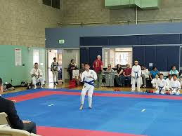 Image result for Carn Brea Karate Kai