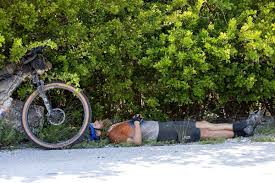 Image result for Angus Cycling Club