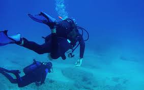 Image result for Deep and Wide Diving