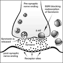 Ssri Pictures, Ssri Image, others Photo Gallery