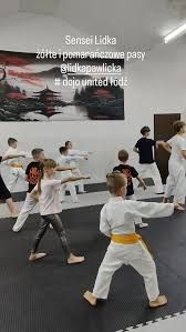 Image result for United Dojos Kickboxing