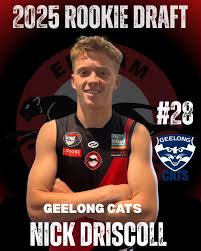 Image result for Eltham Town Football Club Ltd