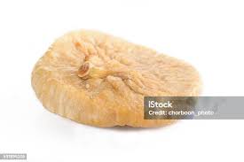 Attēlu rezultāti vaicājumam “Langermania gigantea”