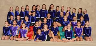 Image result for Weston Aerobic Gymnastics Club
