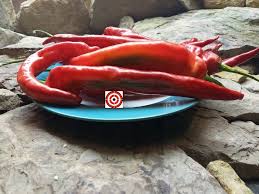 Afbeeldingsresultaat voor joe long cayenne hot pepper