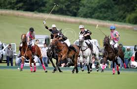 Image result for Cowdray Park Polo Club