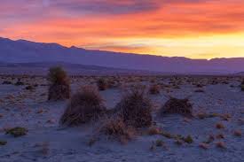 Image result for Dearne Valley Devils