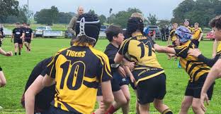 Image result for Stewartry Rugby Football Club