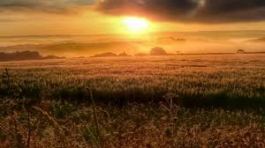 Image result for Falmouth Octopush Club