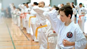 Image result for Macclesfield Dojo