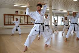 Image result for Thatcham Wado Karate Club