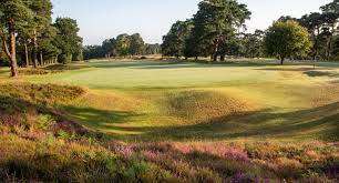 Image result for Hindhead Golf Club