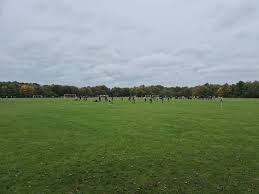 Image result for Welwyn Garden City Panshanger Football Club