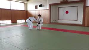 Image result for enpi dojo