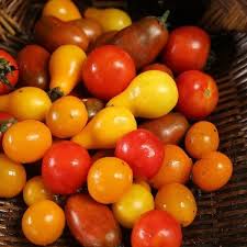 Afbeeldingsresultaat voor broad ripple yellow currant tomato