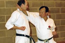 Image result for Sudbury Shotokan Karate Club kugb